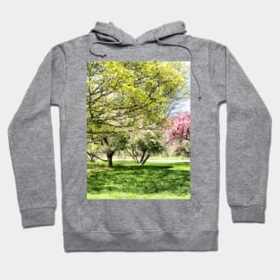 Spring - Lunch in the Park in Spring Hoodie